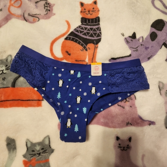 3 Pairs of Cheeky Holiday Panties - Picture 8 of 9